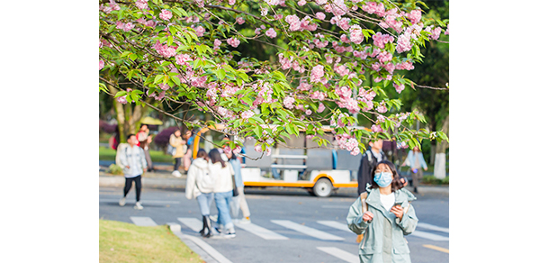 我的大學(xué)-大學(xué)志