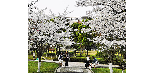 我的大學(xué)-大學(xué)志