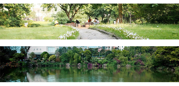 我的大學(xué)-大學(xué)志