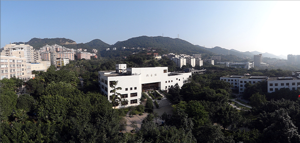 我的大學(xué)-大學(xué)志