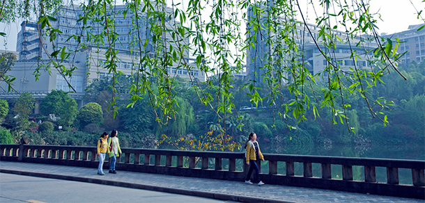 我的大學(xué)-大學(xué)志