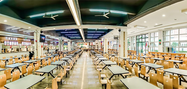 我的大學(xué)-大學(xué)志