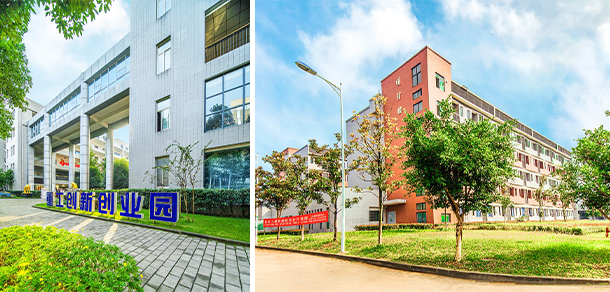 我的大學(xué)-大學(xué)志