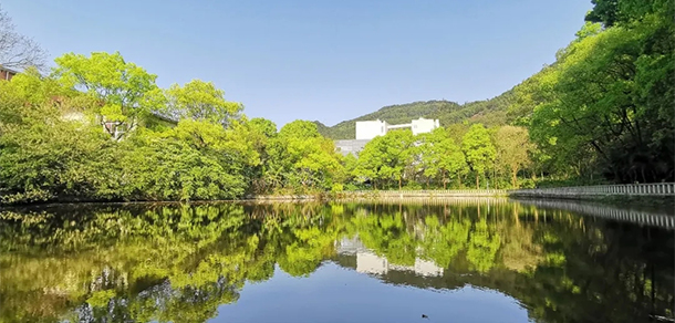 我的大學(xué)-大學(xué)志
