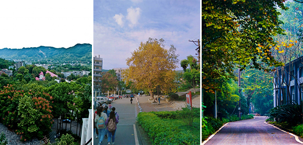 我的大學(xué)-大學(xué)志