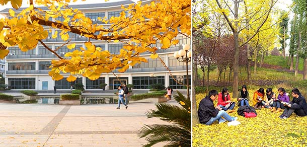 我的大學-大學志