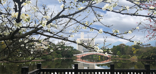 我的大學(xué)-大學(xué)志