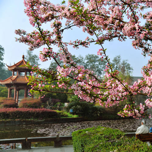 大學(xué)簡介