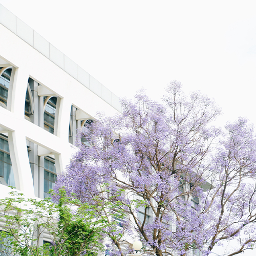 大學之志