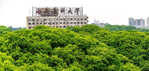 西南醫(yī)科大學 - 最美院校