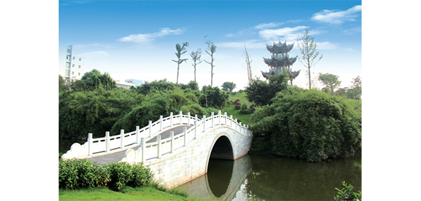西南醫(yī)科大學 - 最美大學