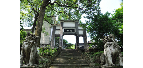 西南醫(yī)科大學 - 最美大學