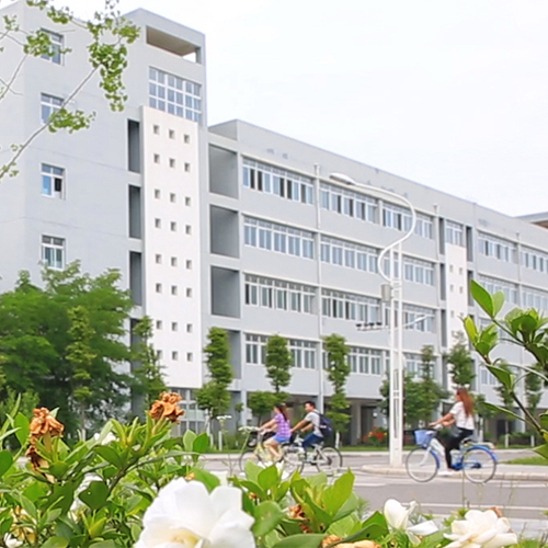 我的大學(xué)