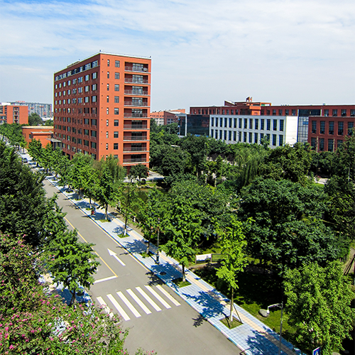 最美大學