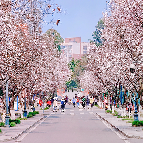 大學簡介