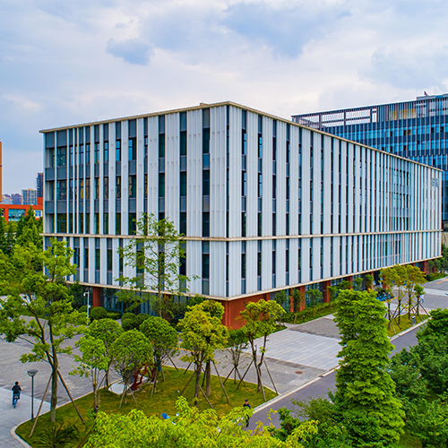 我的大學(xué)