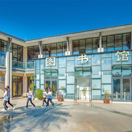 你好青春
