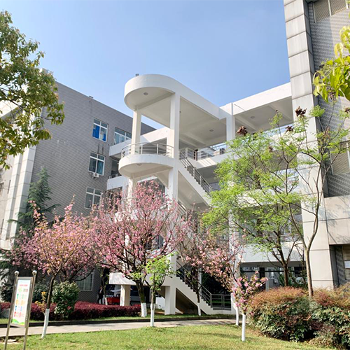 我的大學