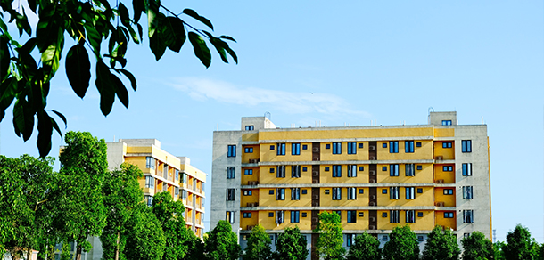 我的大學-大學志