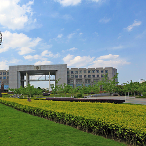 我的大學(xué)