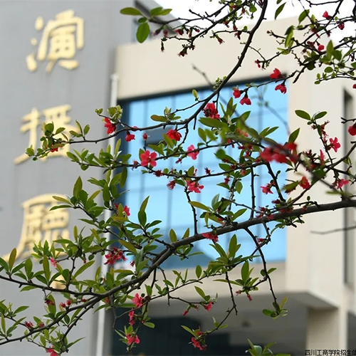 陌上花開(kāi)