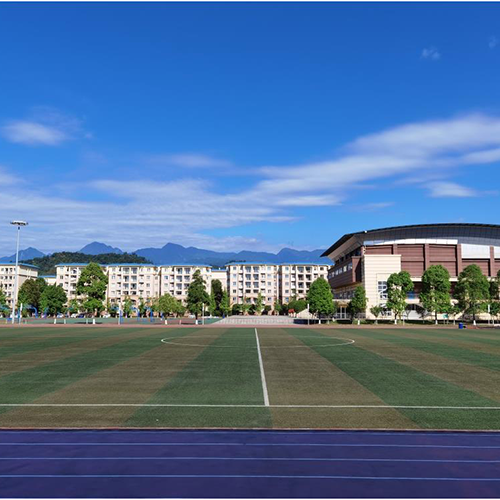 成都外國語學院-大學文化