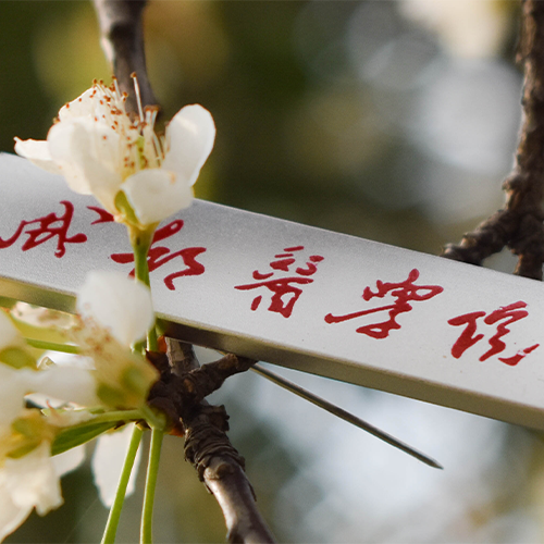 成都醫(yī)學(xué)院-流金歲月