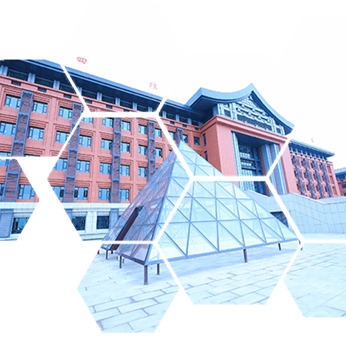大學(xué)志
