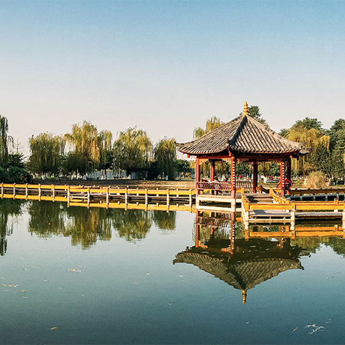 我的大學(xué)