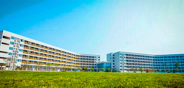 我的大學(xué)-大學(xué)志