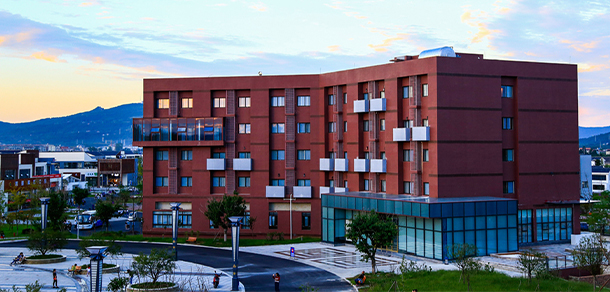 我的大學(xué)-大學(xué)志