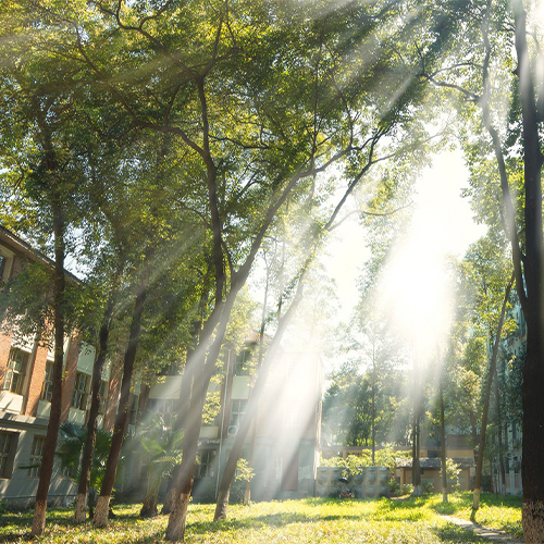 我的大學