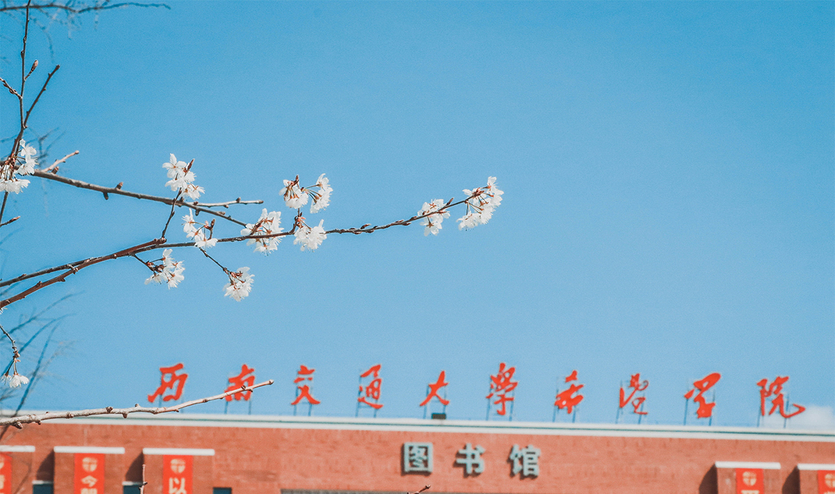 西南交通大學希望學院 我的大學