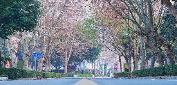 四川電影電視學院 - 最美大學