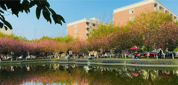 四川電影電視學院 - 最美大學