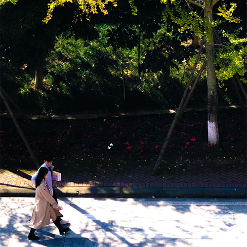 四川電影電視學(xué)院-最美校園