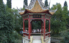 歷史沿革(概)校史