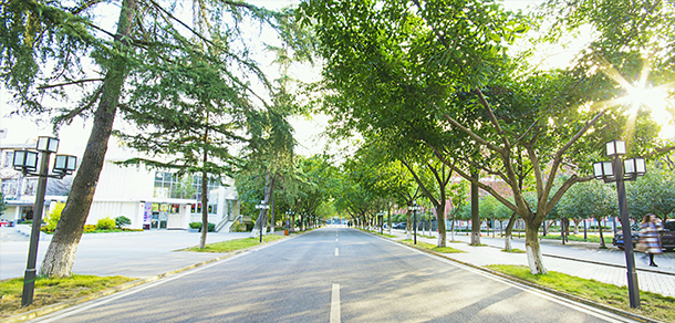 我的大學-大學志