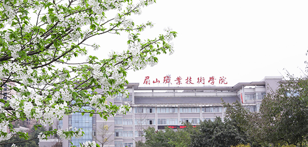 我的大學-大學志
