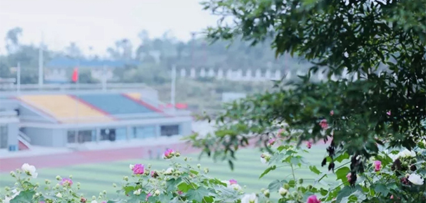 我的大學-大學志