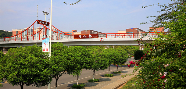 四川中醫(yī)藥高等?？茖W(xué)校 - 最美大學(xué)