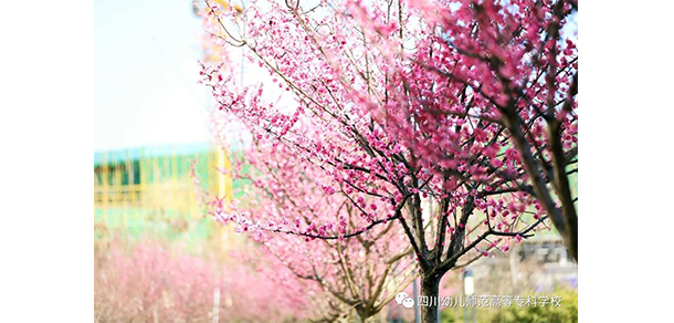 四川幼兒師范高等?？茖W(xué)校 - 最美大學(xué)
