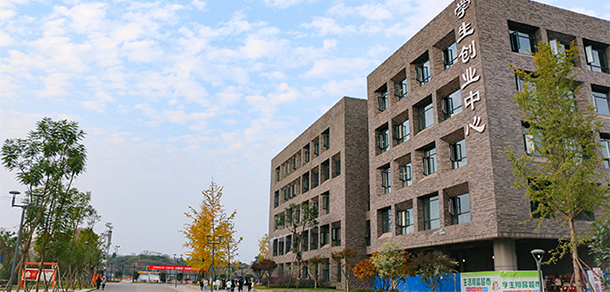 四川衛(wèi)生康復職業(yè)學院 - 最美大學