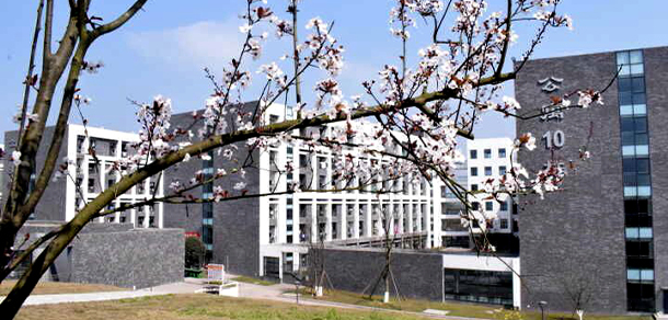 四川衛(wèi)生康復職業(yè)學院 - 最美大學