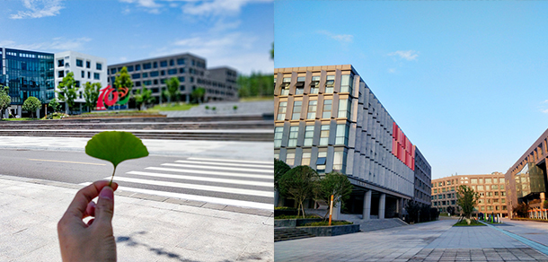 四川衛(wèi)生康復職業(yè)學院 - 最美大學