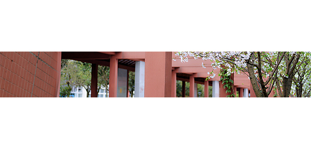 我的大學(xué)-大學(xué)志