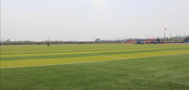 我的大學(xué)-大學(xué)志