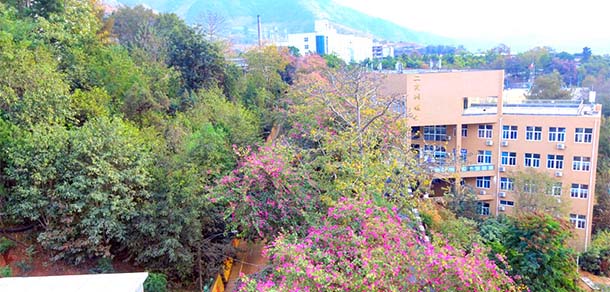 攀枝花攀西職業(yè)學院 - 最美院校