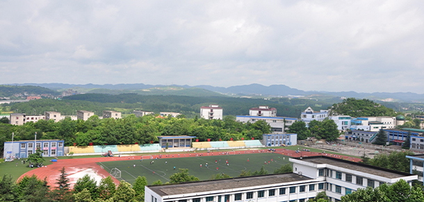 我的大學(xué)-大學(xué)志