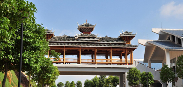 我的大學(xué)-大學(xué)志